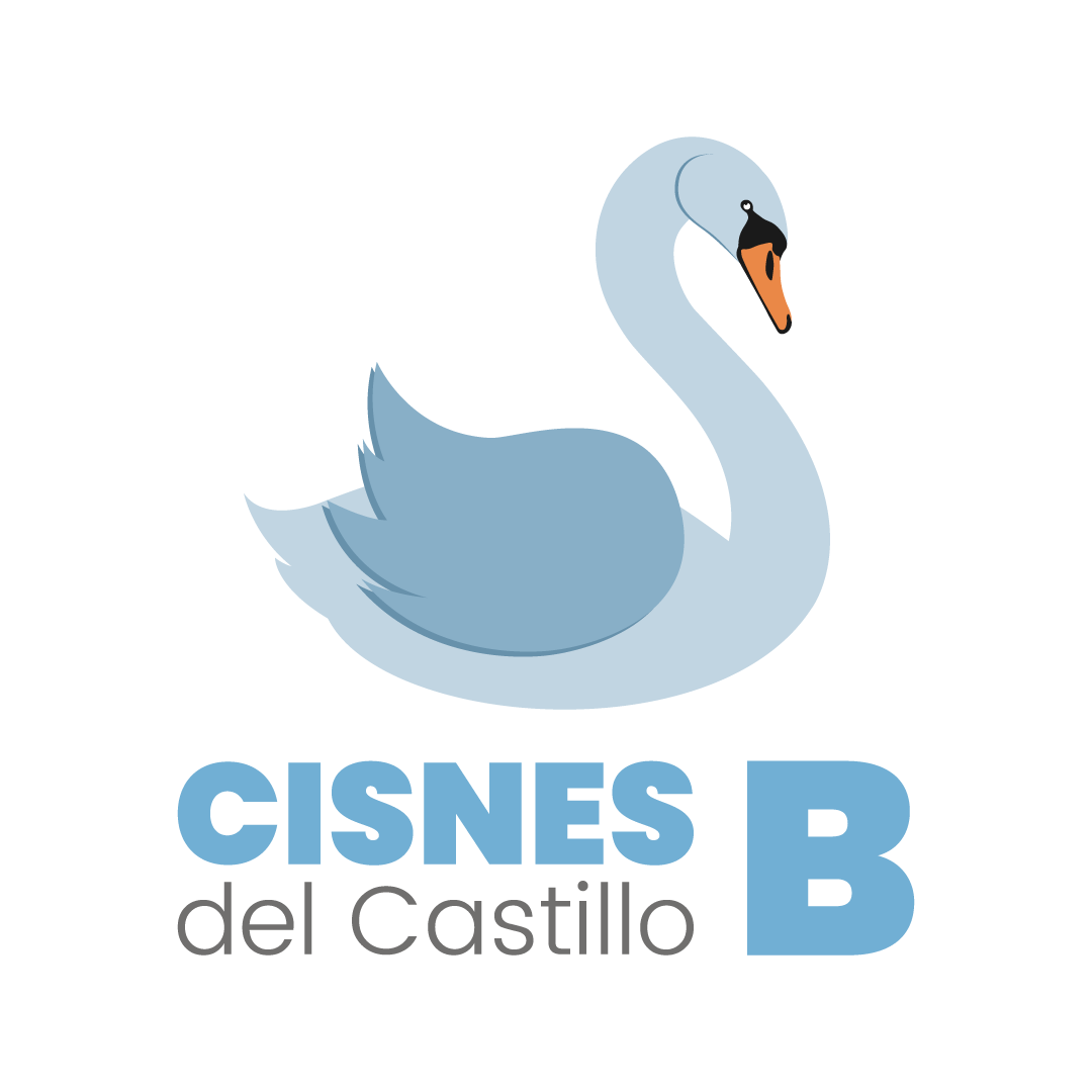 Proyecto Cisnes Del Castillo B