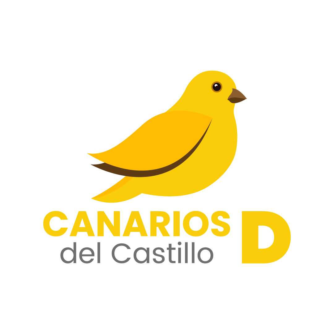 Proyecto Canarios Del Castillo D