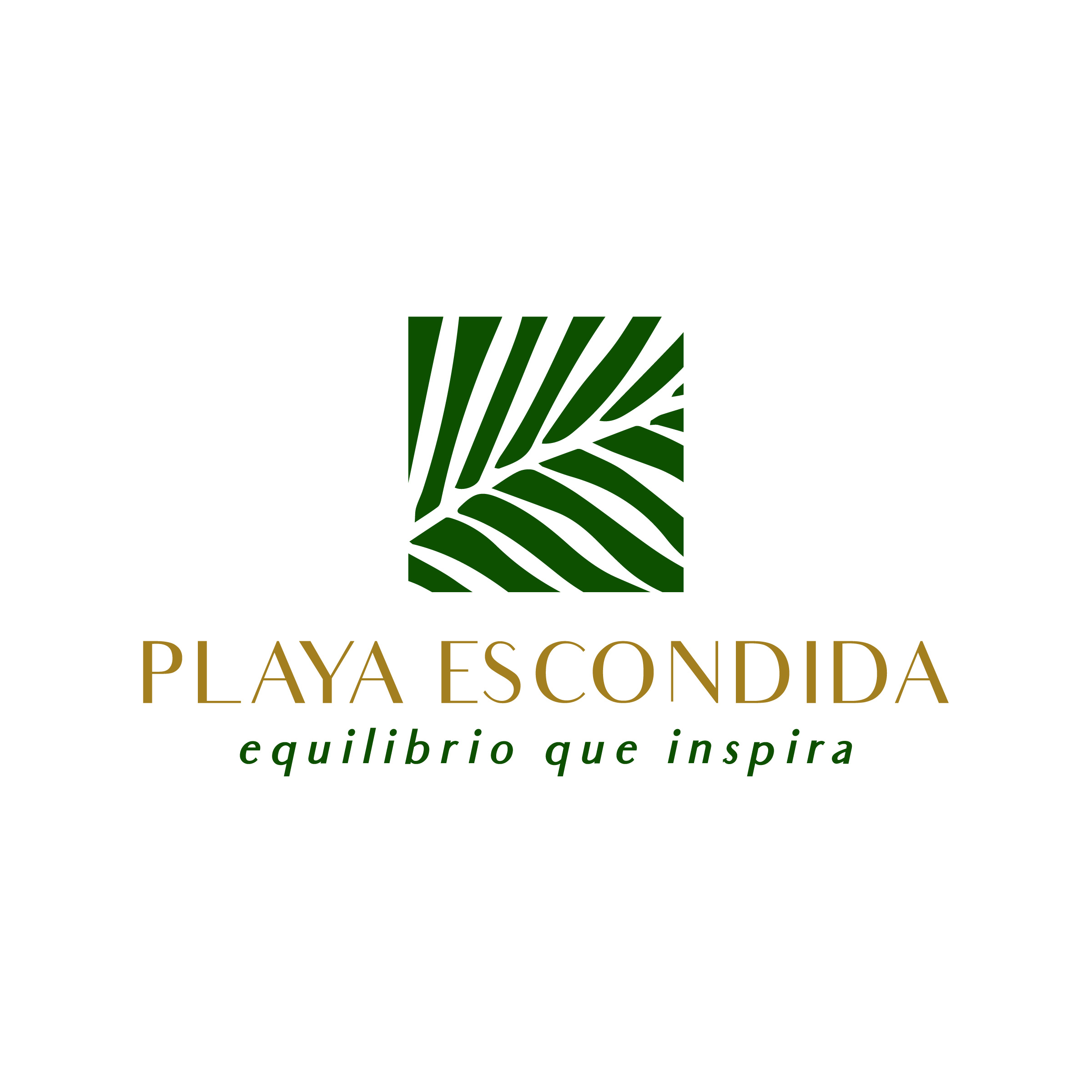 Proyecto Playa Escondida