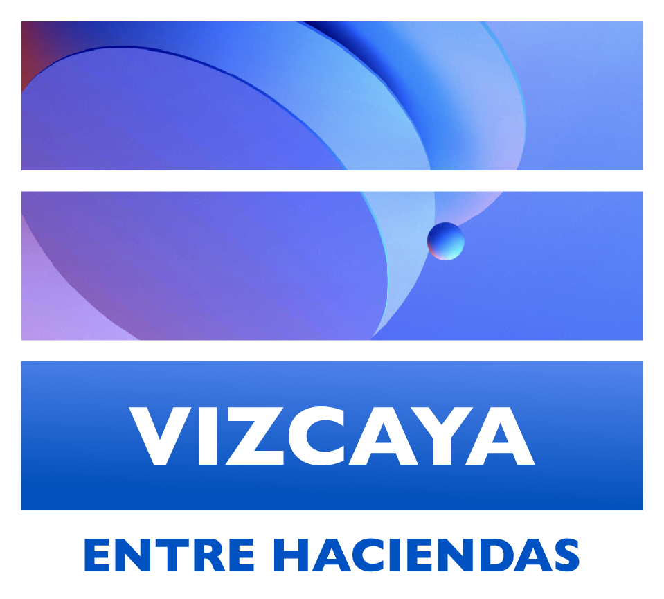 Proyecto Vizcaya