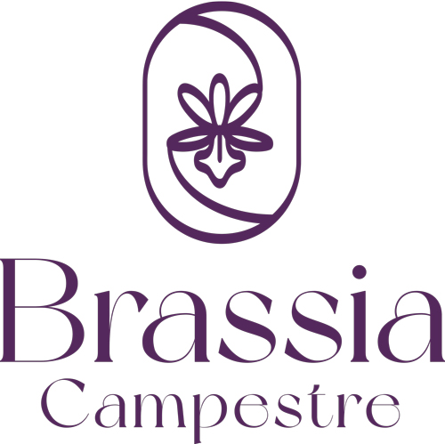 Proyecto Brassia Campestre