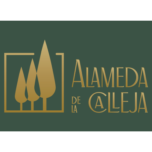 Proyecto Alameda De La Calleja
