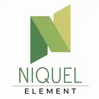Proyecto Niquel