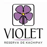 Proyecto Violet
