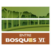 Proyecto Entre Bosques VI