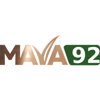 Proyecto Mava 92