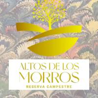 Proyecto Condominio Campestre Altos Del Morro