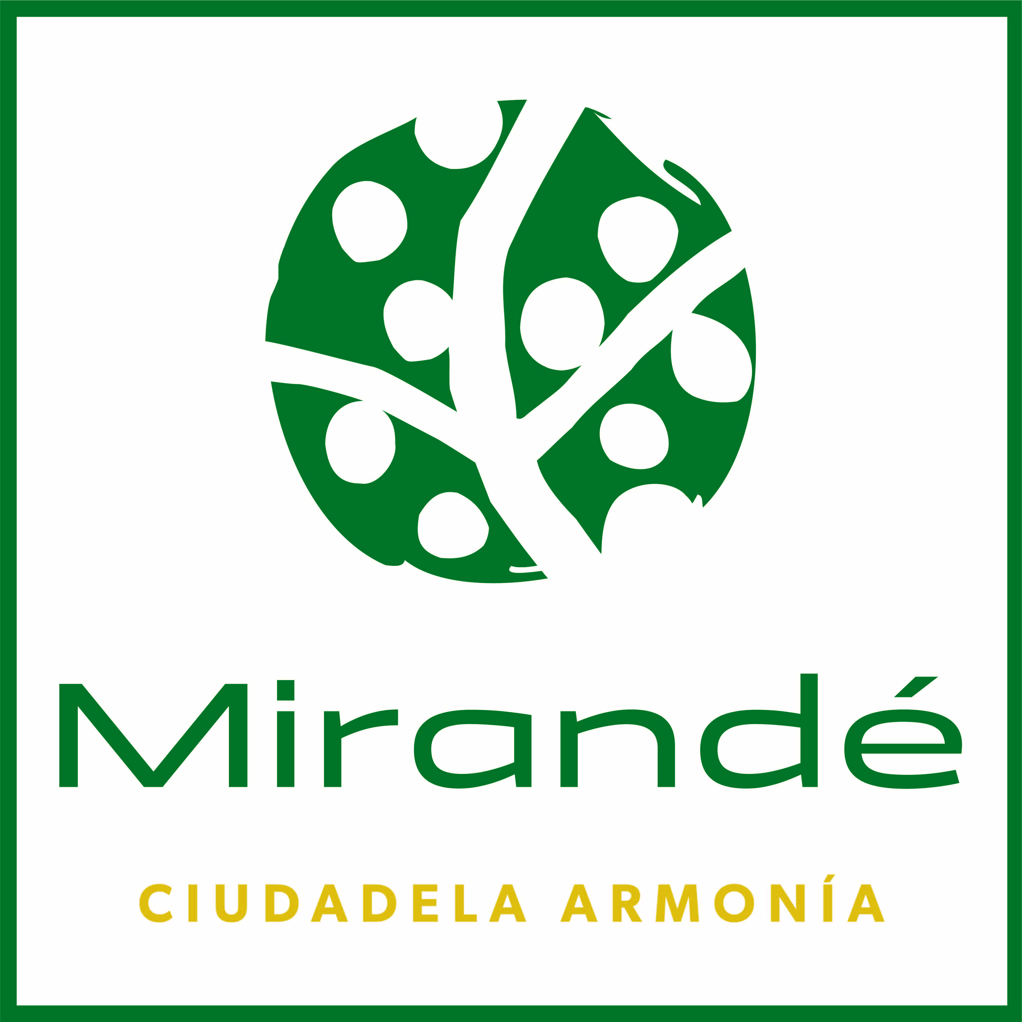 Proyecto Mirandé