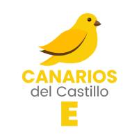 Proyecto Canarios Del Castillo E