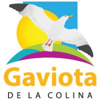 Proyecto Gaviota De La Colina