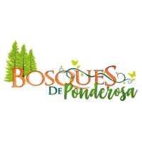 Proyecto Bosques De Ponderosa