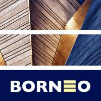 Proyecto Borneo