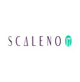 Proyecto Scaleno 17