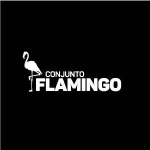 Proyecto Flamingo