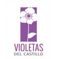 Proyecto Violetas Del Castillo