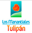 Proyecto Los Manantiales Tulipán