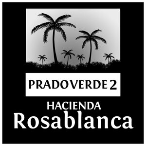 Proyecto Prado Verde 2