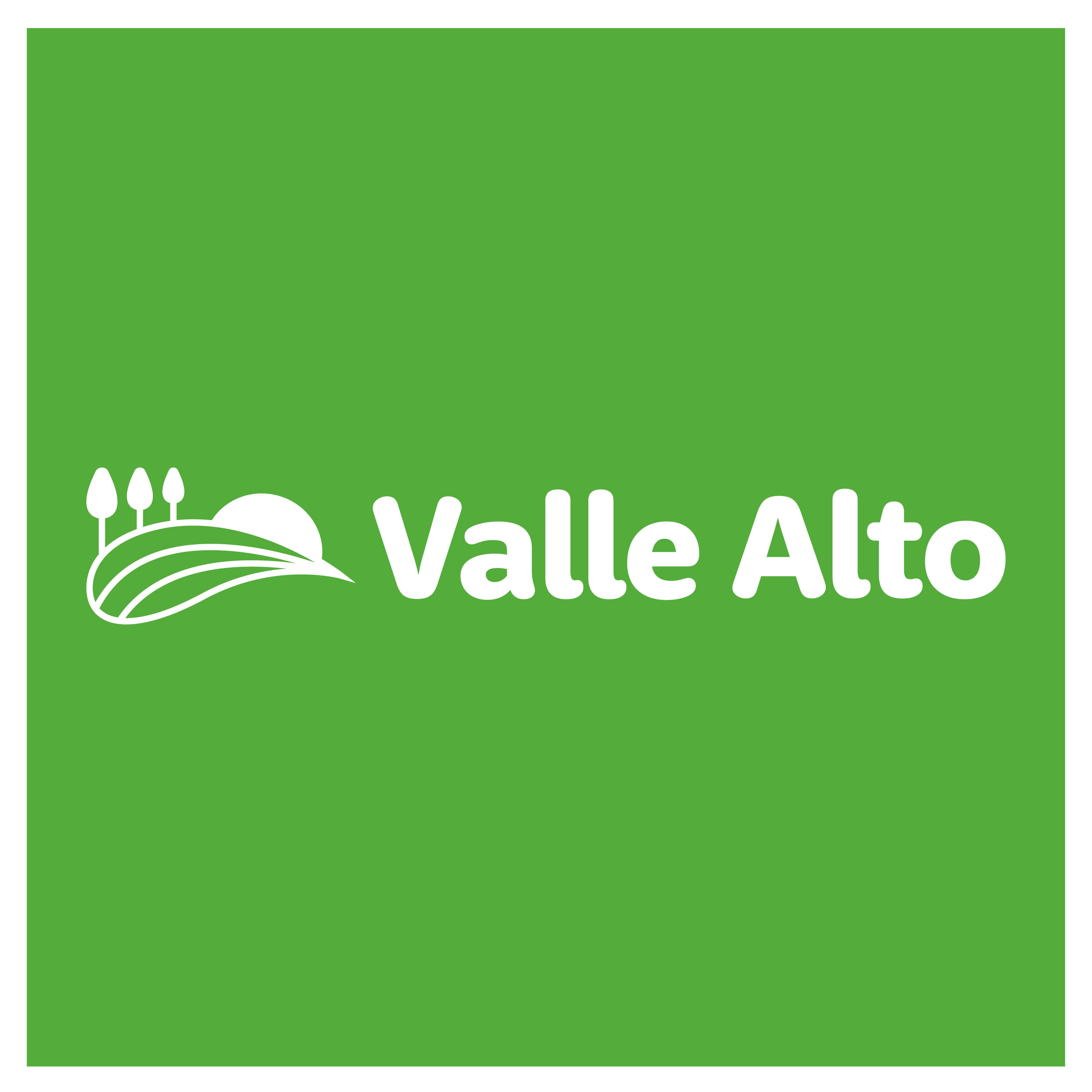 Proyecto Valle Alto