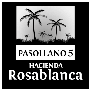 Proyecto Pasollano 5