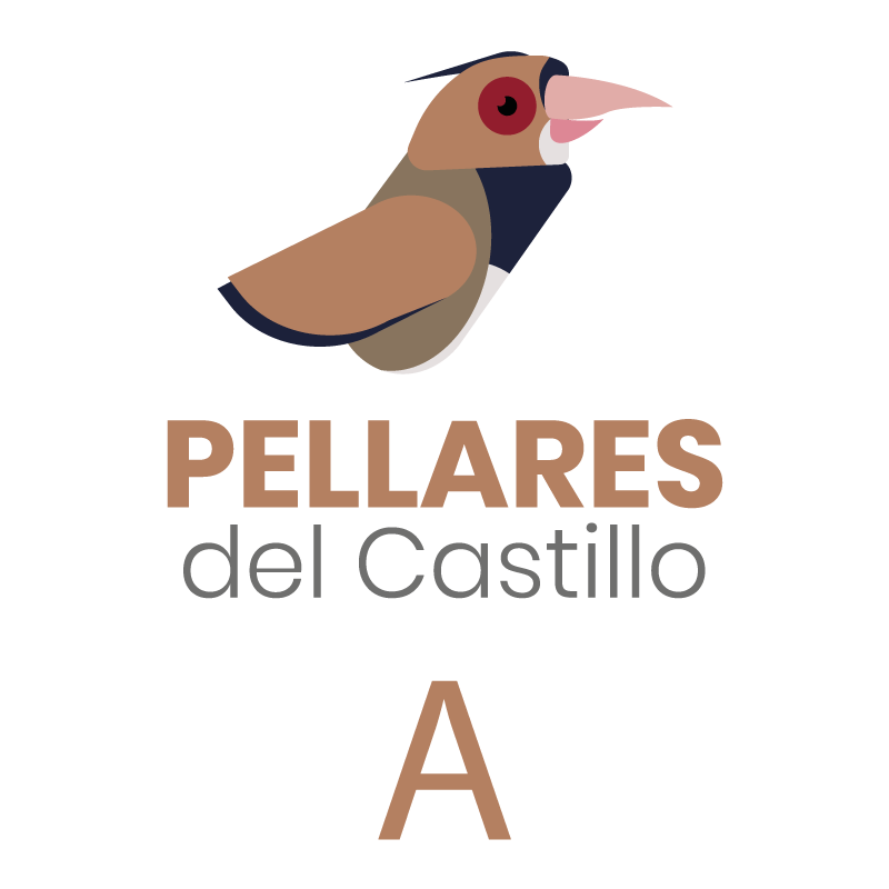 Proyecto Pellares A