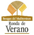 Proyecto Ronda De Verano