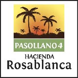 Proyecto Pasollano 4 