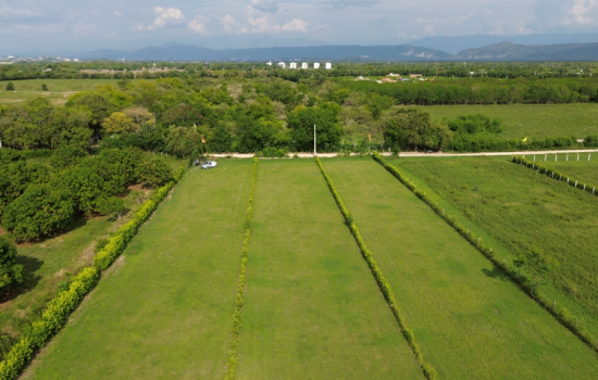 Proyecto de vivienda Lotes Campestres Palermo - 4473.00, lotes en venta en Ricaurte, Peñalisa de la constructora SERCONSTRUCTORES.