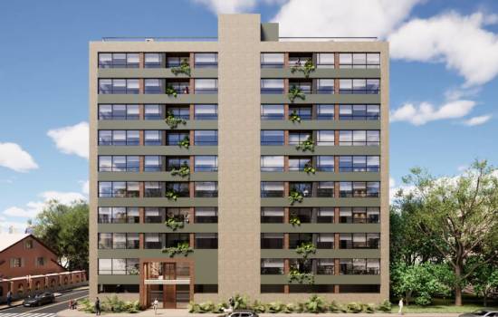Proyecto Austral