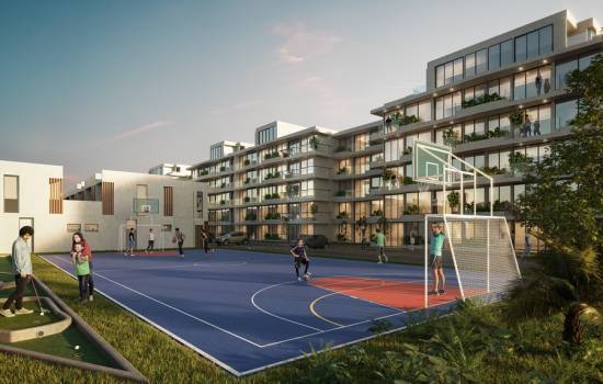 Proyecto Cerro Alto