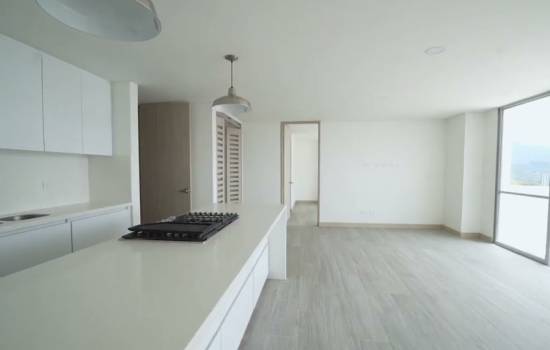 Proyecto Oasis de Alameda-Torre Boreal