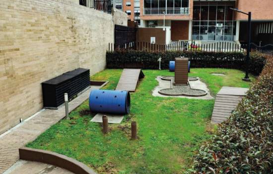 Proyecto Siete 167