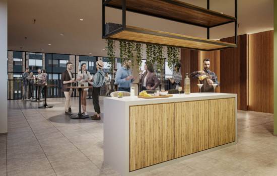 Proyecto Flora Parque Central Los Robles