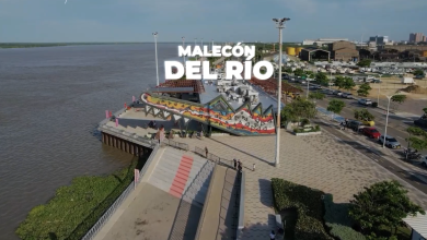 Imagen artículo