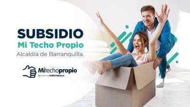Imagen artículo
