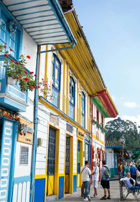 Proyectos en venta en el Eje Cafetero